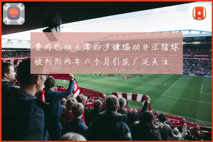 费内巴切主席因涉嫌煽动非法赌球被判刑两年六个月引发广泛关注
