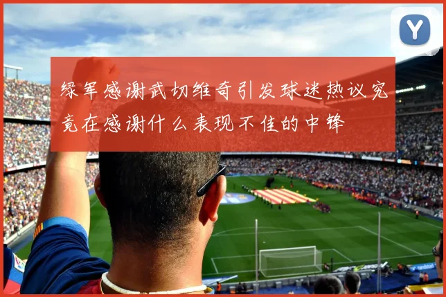 绿军感谢武切维奇引发球迷热议究竟在感谢什么表现不佳的中锋
